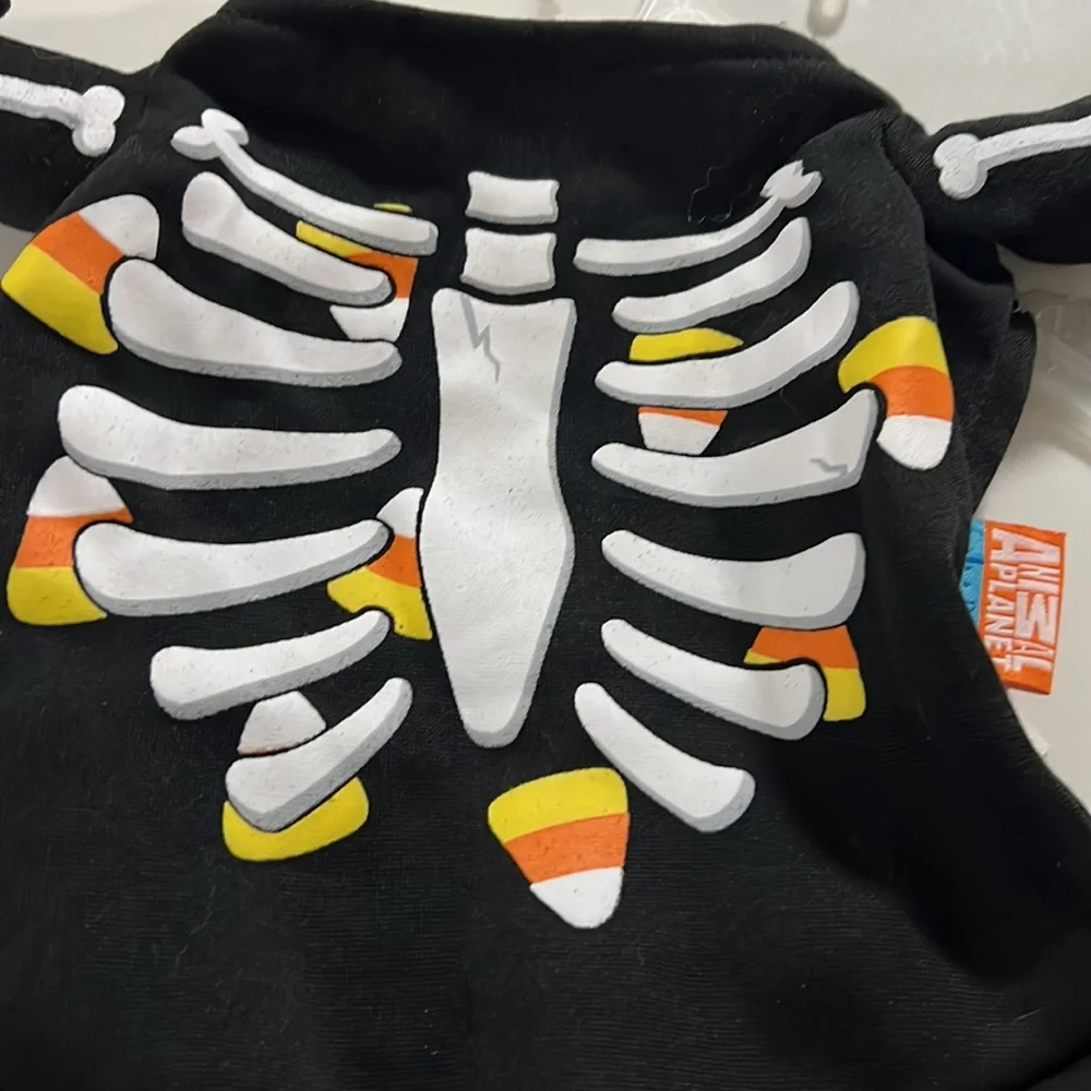 Dog costume